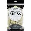 Buy ✔️ Bella Moss 1406121084 Preserved Reindeer Moss, Natural, 80 cu in. 😀