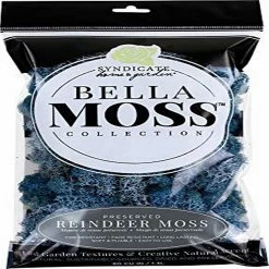 Brand new ✨ Bella Moss 1406121085 Preserved Reindeer Moss, Lavender Blue, 80 cu in ⌛