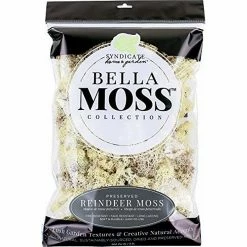 Buy ✔️ Bella Moss 1407101082 Preserved Reindeer Moss, Natural, 200 cu in 😀