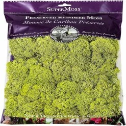 Flash Sale 👍 Super Moss 21669 Reindeer Moss Preserved, Chartreuse, 8oz (200 cubic inch) 😉